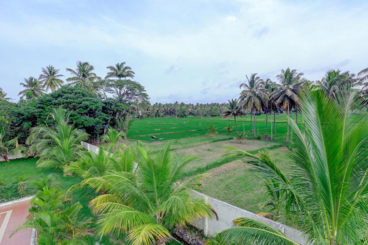 Brindavan Garden Resort & Spa Krishnarajasagara Eksteriør billede