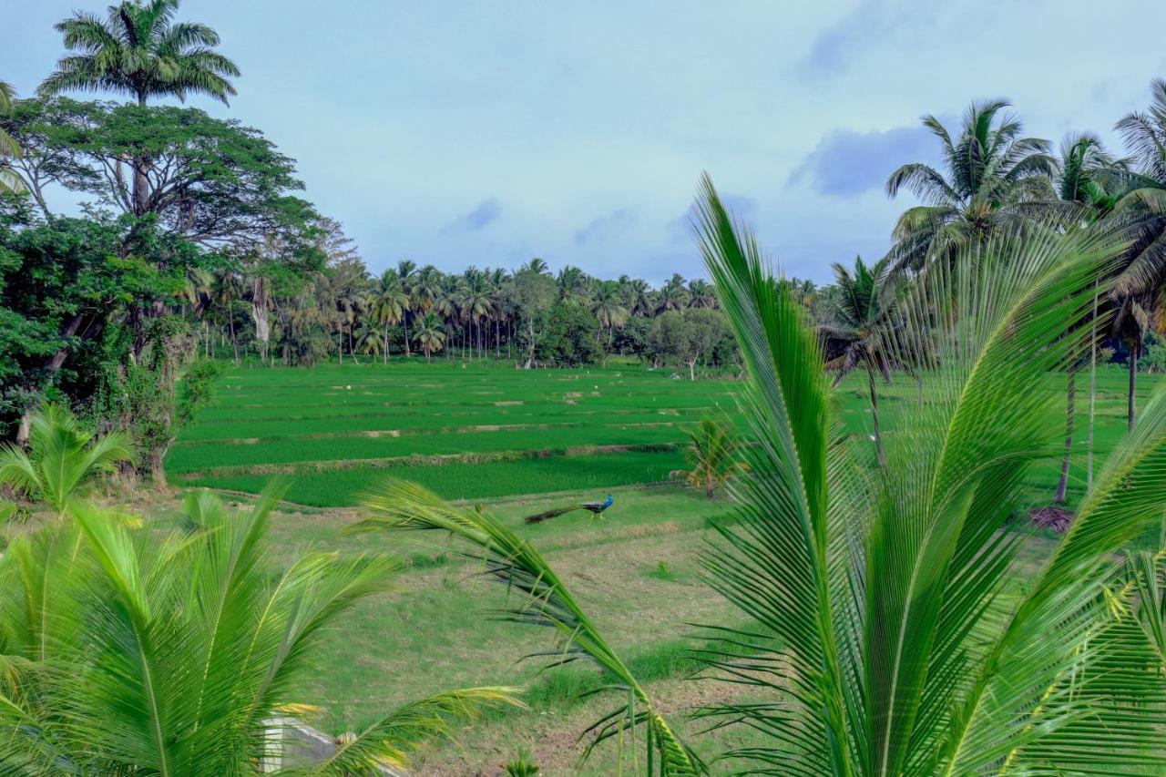 Brindavan Garden Resort & Spa Krishnarajasagara Eksteriør billede